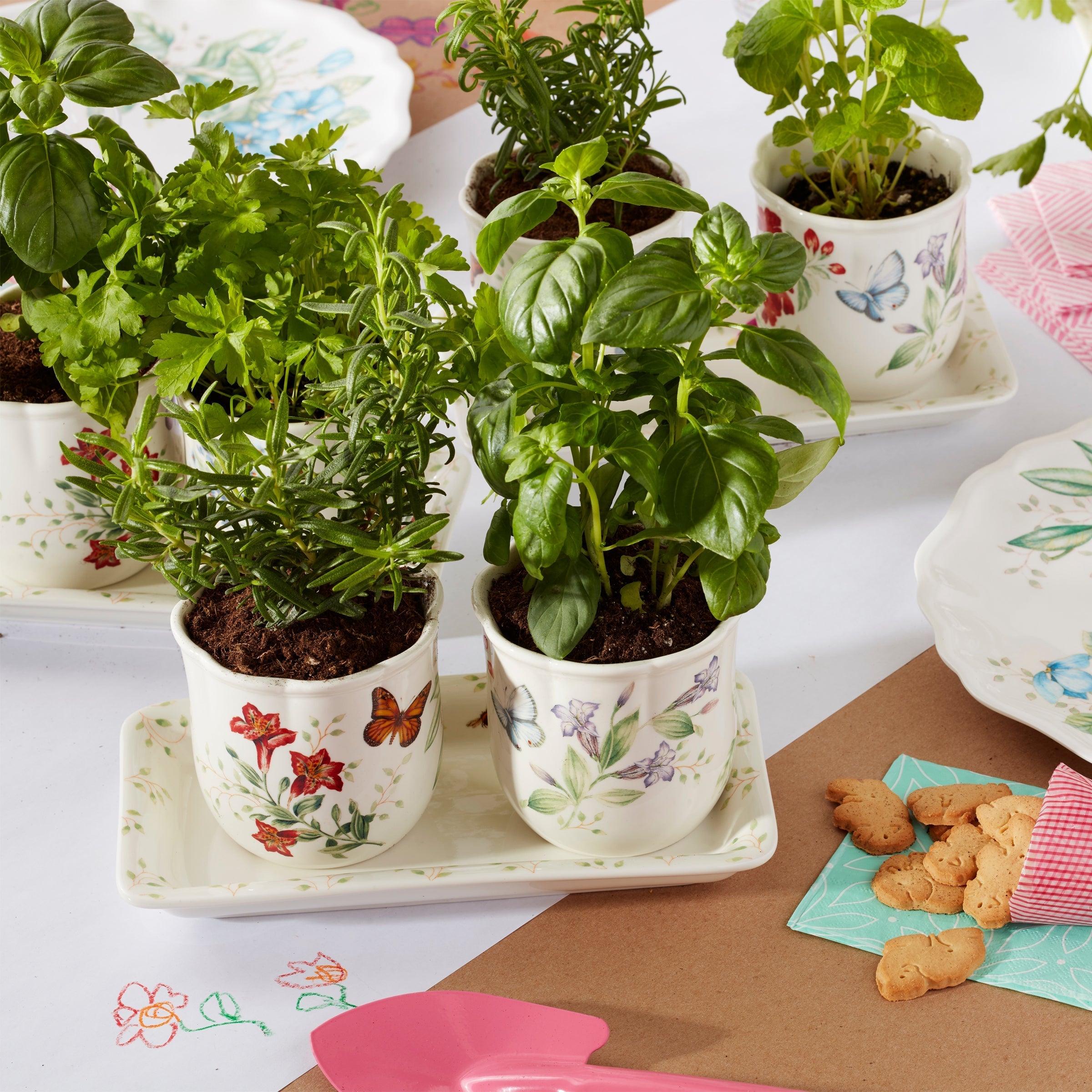 Thekbunny Butterfly Meadow 3-Piece Herb Pots & Tray Set