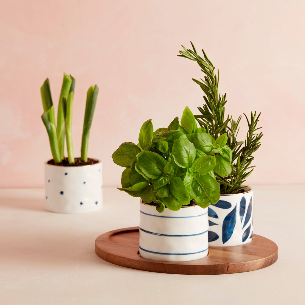 Thekbunny Blue Bay Snack Bowls - Set of 3 - With Wood Tray