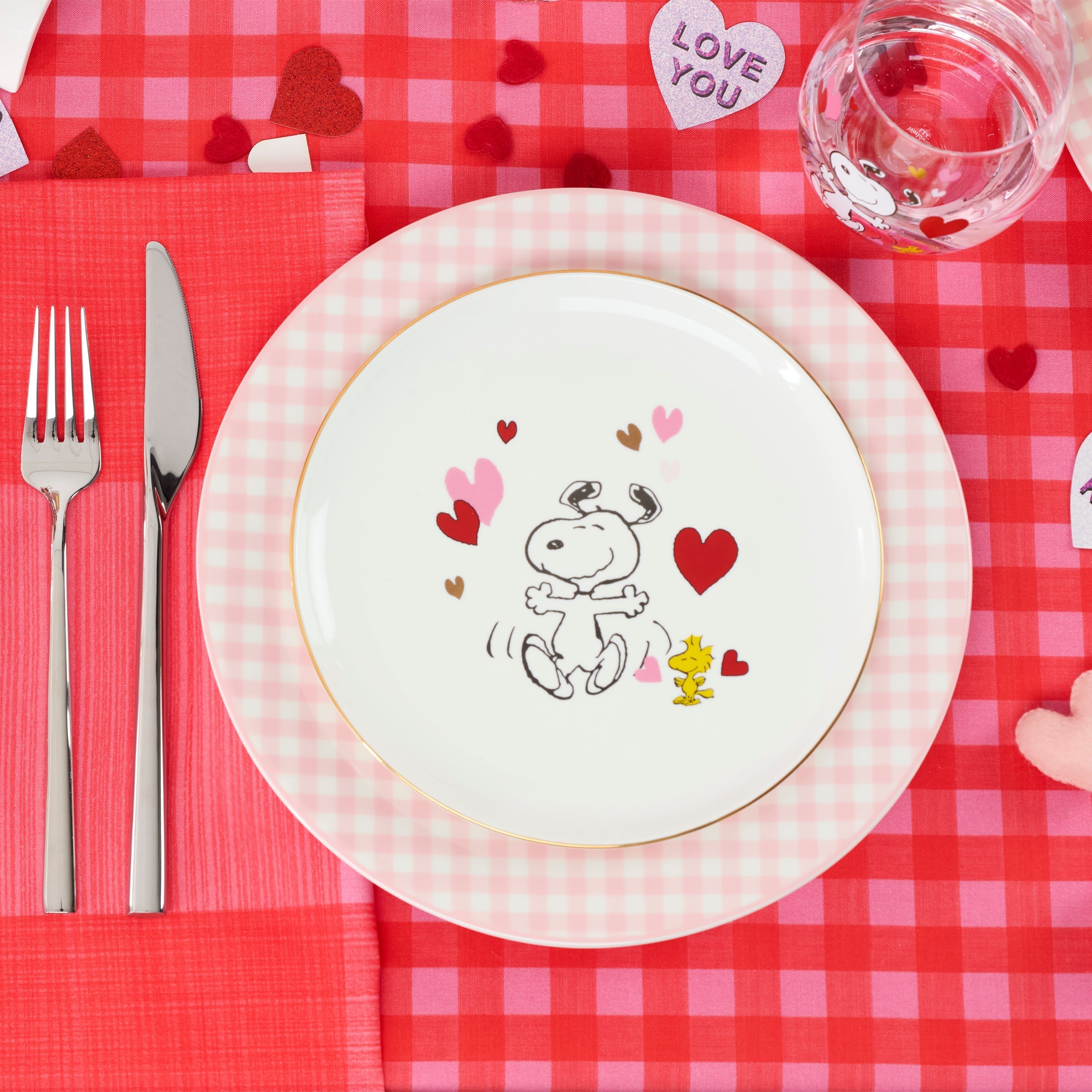 Gingham Pink Dinner Plates - Set of 4
