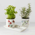 Thekbunny Butterfly Meadow 3-Piece Herb Pots & Tray Set